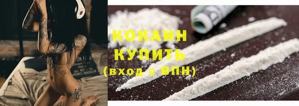 крисы Богородицк