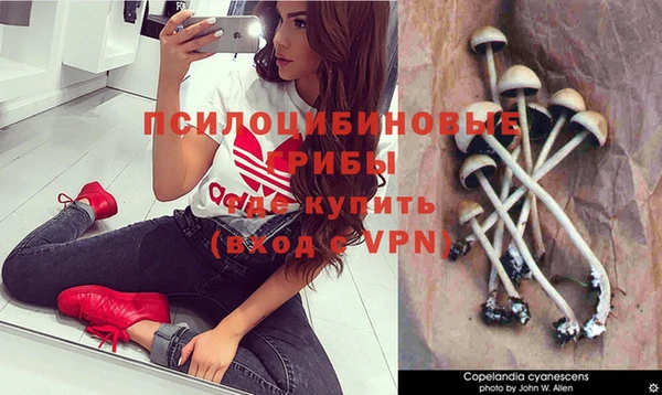 apvp Богданович