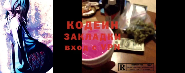 хмурый Богородск