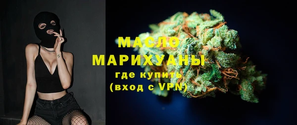 крисы Богородицк