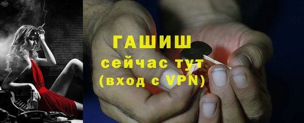 apvp Богданович