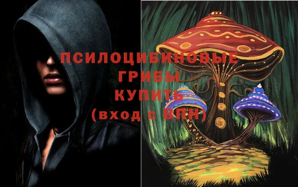 крисы Богородицк