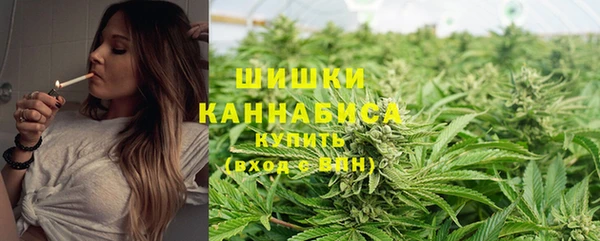 apvp Богданович