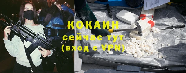 крисы Богородицк
