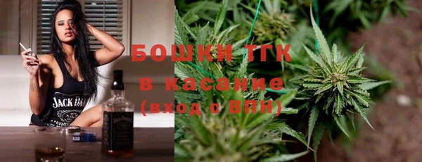 крисы Богородицк