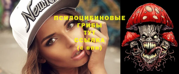 хмурый Богородск