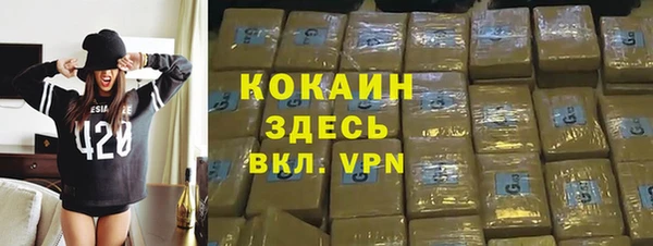 крисы Богородицк