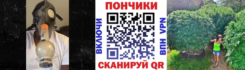 Бошки марихуана Amnesia  Саранск 